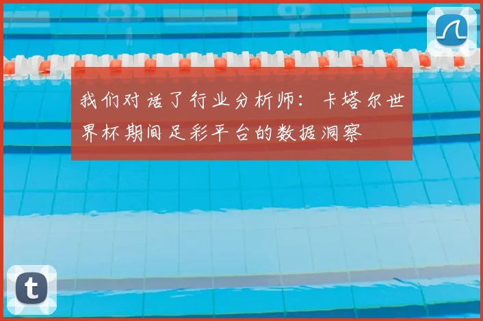 我们对话了行业分析师:卡塔尔世界杯期间足彩平台的数据洞察