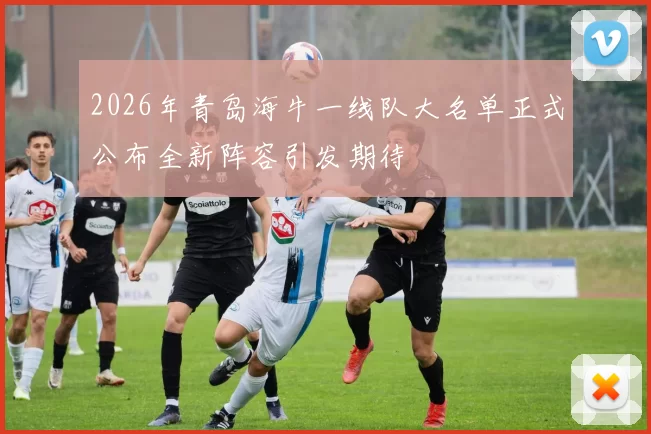 2026年青岛海牛一线队大名单正式公布全新阵容引发期待