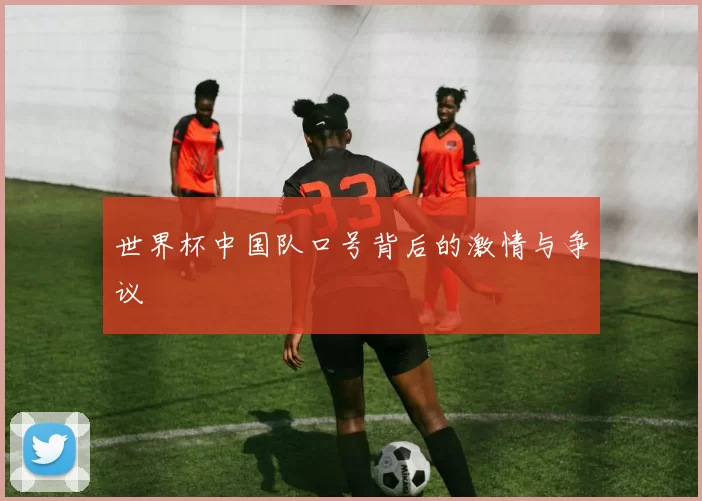 世界杯中国队口号背后的激情与争议