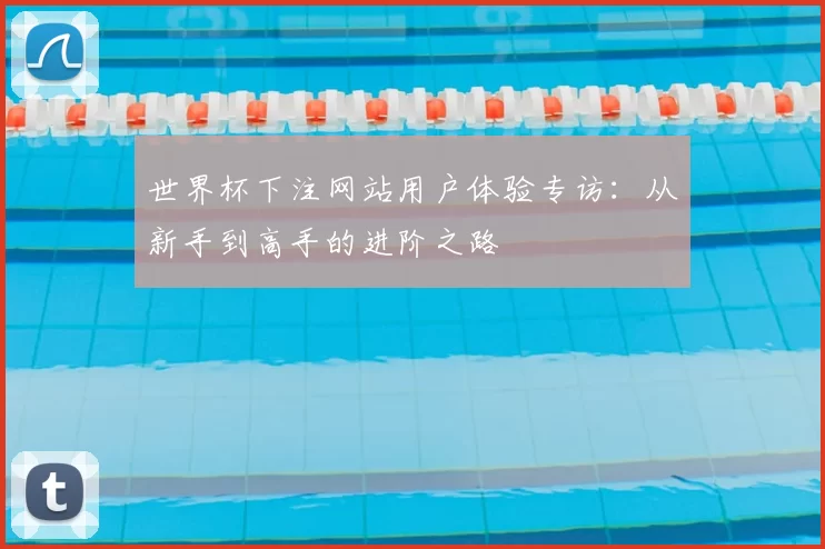 世界杯下注网站用户体验专访:从新手到高手的进阶之路