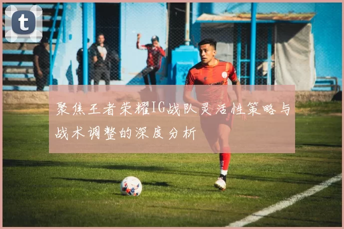 聚焦王者荣耀IG战队灵活性策略与战术调整的深度分析