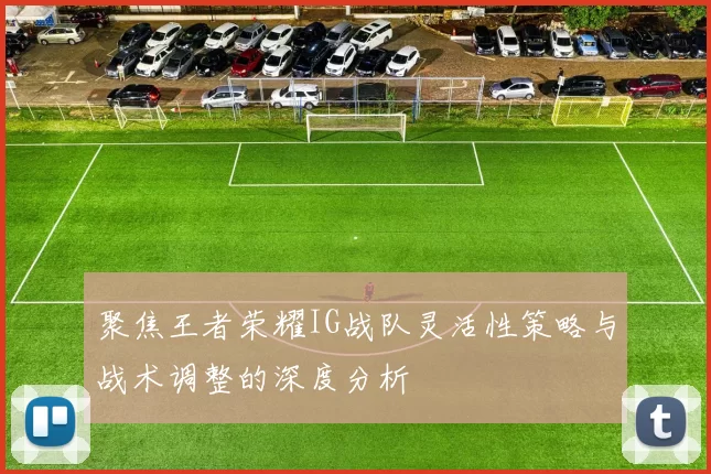 聚焦王者荣耀IG战队灵活性策略与战术调整的深度分析