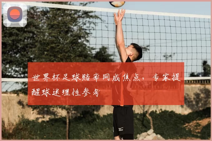 世界杯足球赔率网成焦点,专家提醒球迷理性参考