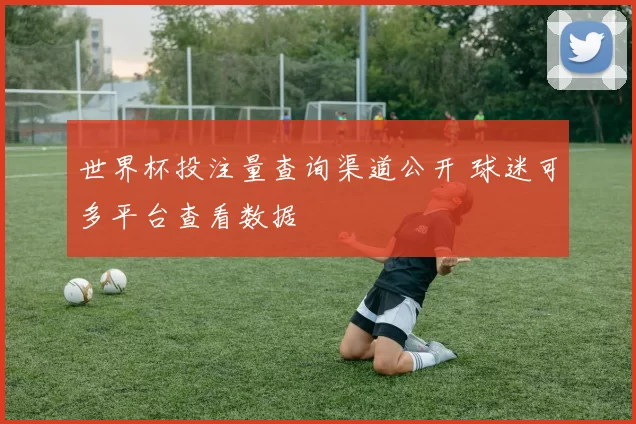 世界杯投注量查询渠道公开 球迷可多平台查看数据