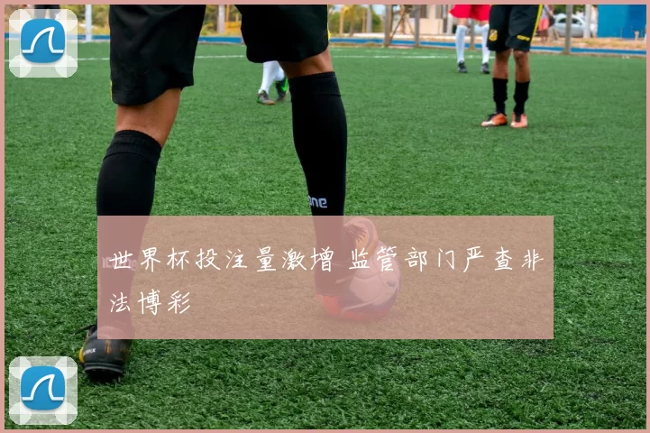 世界杯投注量激增 监管部门严查非法博彩