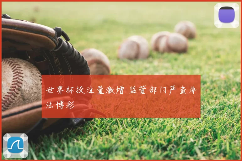 世界杯投注量激增 监管部门严查非法博彩