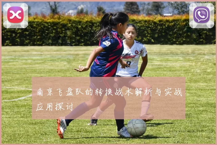南京飞盘队的转换战术解析与实战应用探讨