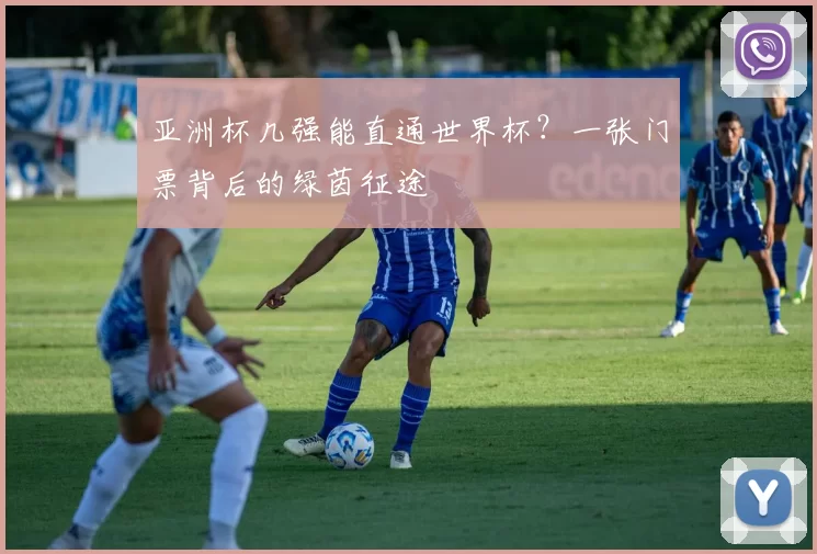 亚洲杯几强能直通世界杯？一张门票背后的绿茵征途