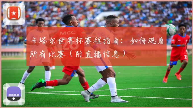 卡塔尔世界杯赛程指南：如何观看所有比赛（附直播信息）