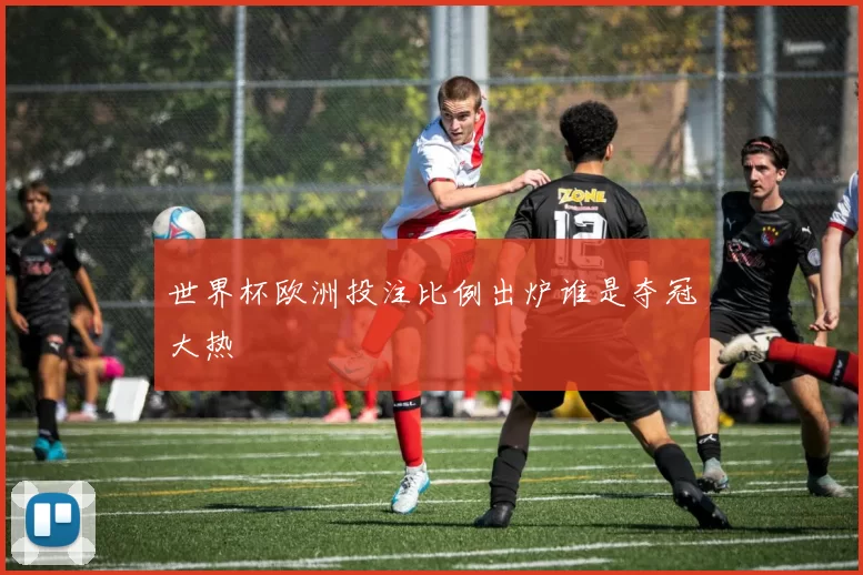 世界杯欧洲投注比例出炉谁是夺冠大热