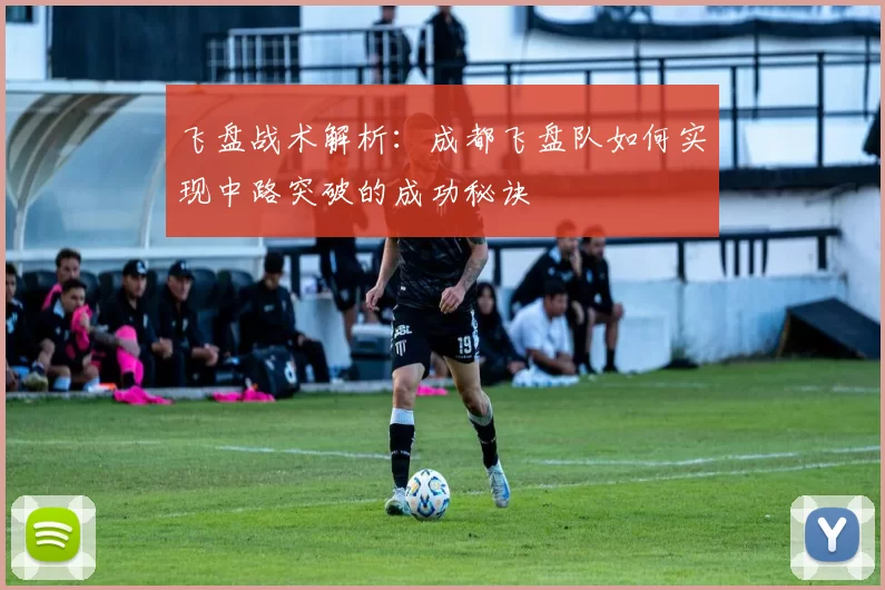 飞盘战术解析：成都飞盘队如何实现中路突破的成功秘诀